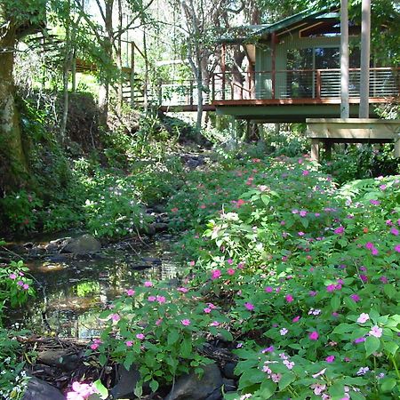 Treetops Montville Εξωτερικό φωτογραφία