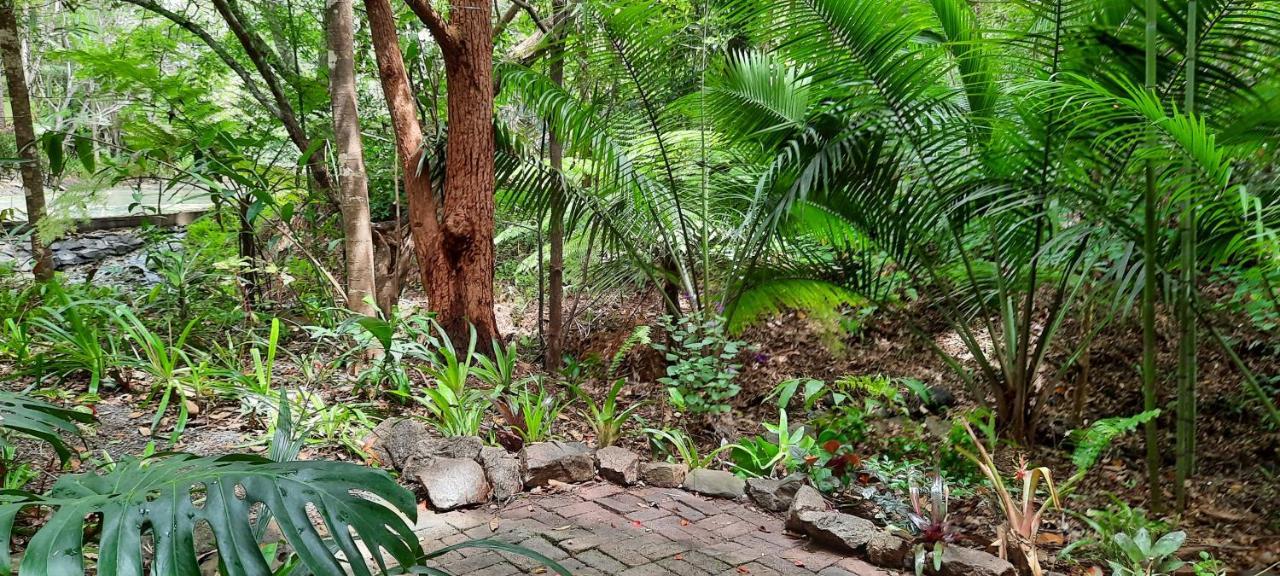 Treetops Montville Εξωτερικό φωτογραφία