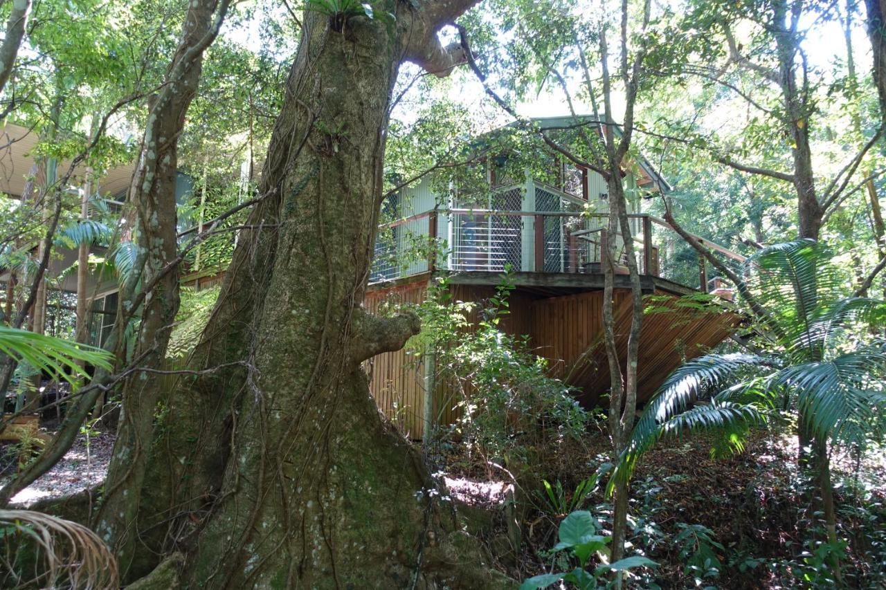 Treetops Montville Εξωτερικό φωτογραφία